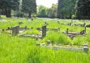 Whitworth Road Cemetery became wildly overgrown with grass and weeds. Image: Dave Cox
