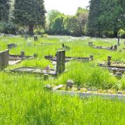 Whitworth Road Cemetery became wildly overgrown with grass and weeds. Image: Dave Cox