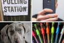 Polling station rules -  selfies, dogs and filling out your vote
