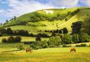 Wiltshire has been nominated in the Best UK Destination Category