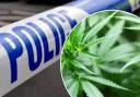 A suspected cannabis factory was discovered in Swindon
