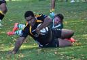 Marlborough forward Oscar Tamani scores the second of 13 home tries against Salisbury in an 81-5 success on the Common last weekend                                                                   Photo: Leila Nairne