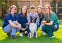 Tess the border collie celebrates her ninth birthday with (left to right) Vets Rachel Franks and Jess Barratt, owners Debbie and Kate Hutchen, and veterinary nurse Amy Hamilton. Photo provided by VetPartners.