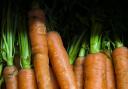 Wonky vegetables are still very nutritious