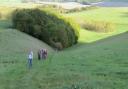 Timothy Woolf sent in this picture of mid wilts ramblers climbing to the top of strawberry hill above West Lavington on Sunday