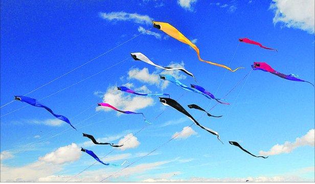 Swindon Advertiser's readers get snap happy when they are out and about.
Bristol Kite Festival
Picture: Dave Thomas