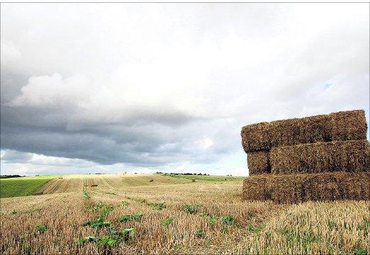 Swindon Advertiser's readers get snap happy when they are out and about.
Haystack in field near Hackpen Hill
Picture: Pete Wilson