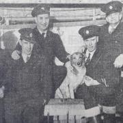 When Rover the beloved Wroughton RAF base fire station dog came down with pneumonia, her human colleagues nursed her - yes, Rover was female - back to health with brandy and milk