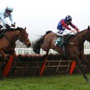 HORSE RACING: Stayers' champ Paisley Park defends Cleeve Hurdle crown