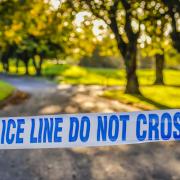 Police say that the incident occurred in Lydiard Park on Friday.