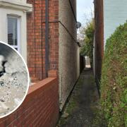 Rodbourne residents have seen drug users using syringes in a nearby alleyway.