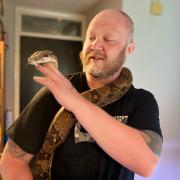 Steve Todman began Wiltshire Reptile Rescue in 2021.