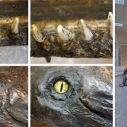 Details of the restoration of the gharial, and Cllr Marina Strinkovsky welcoming her back