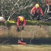 Firefighters had to rescue a man from the river in Chippenham after he jumped in to escape police