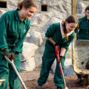 New College Swindon students building new animal enclosures