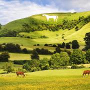 Wiltshire has been nominated in the Best UK Destination Category