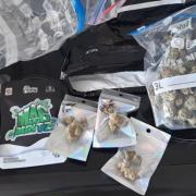 Cannabis seized by the police