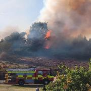 An amber wildfire alert has been issued for the Dorset & Wiltshire Fire and Rescue Service area for the coming weekend