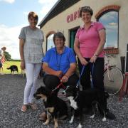 Dog show pre. Anne Hooper with her dogs Kaylee and Evie with  Merkins cafe owner Hayley Painter and Angela Brooks.. Photo:Trevor Porter 58838 2.