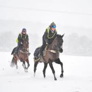 HORSE RACING: Persistent snow is no excuse for the hard-working stable staff across Wiltshire and Lambourn