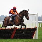 HORSE RACING: Kempton gallop pleases Henderson, plus more news from around Wiltshire