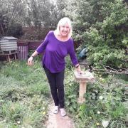 Glynis Hales says protecting bees is not only vital to our survival but as easy as setting aside part of a garden and letting it flourish naturally with pollinator-friendly plants