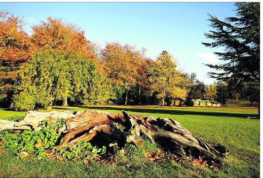 Swindon Advertiser's readers get snap happy when they are out and about
Lydiard Park in Autumn
Picture: PETE WILSON