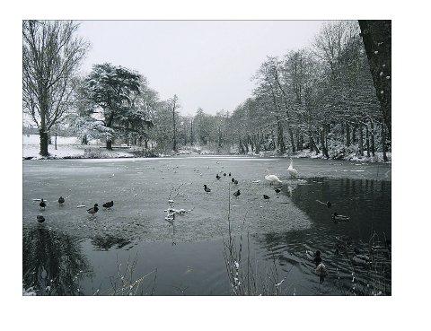 Pictures snapped by readers of the Swindon Advertiser.
Lawns Wood in the snow. Picture: Glenn Whyte