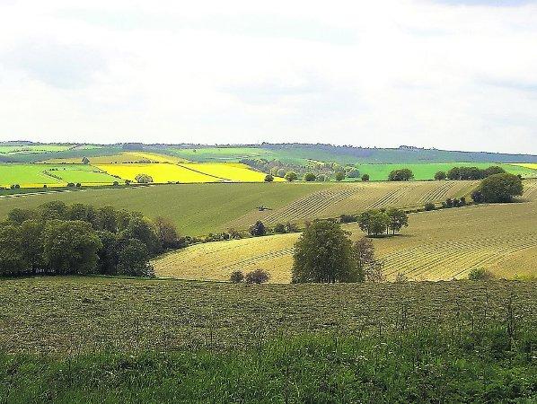 Pictures snapped by readers of the Swindon Advertiser.
Fields near Baydon
Picture: Rachel Wilson