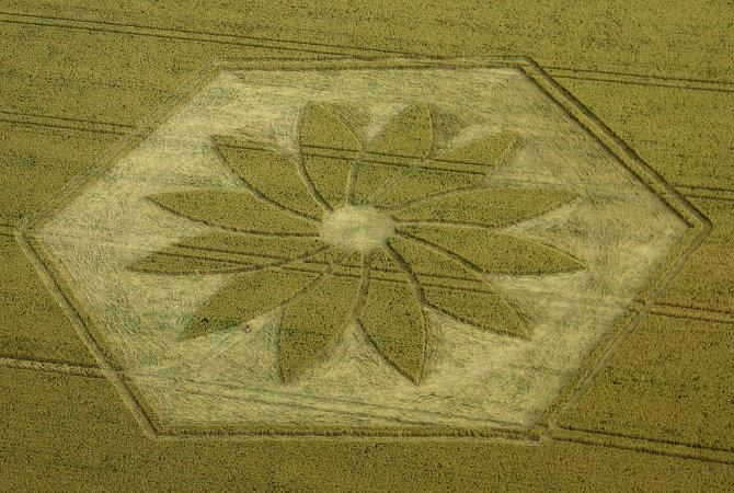 Mystery of the crop circles returns as strange patterns in the corn fields of Wiltshire reappear with the summer sunshine