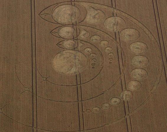 Mystery of the crop circles returns as strange patterns in the corn fields of Wiltshire reappear with the summer sunshine