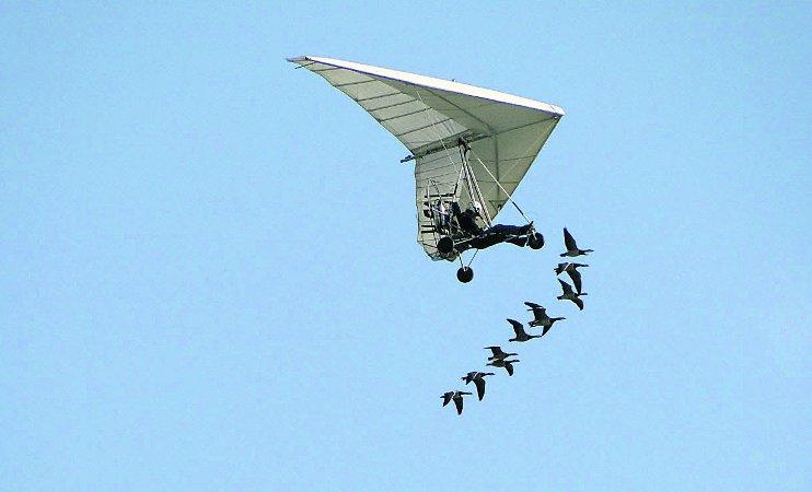 In the picture with our readers as they snap photos around the Wiltshire area. How about synchronised flying? Birds following a microlight 
Picture: MAUREEN SKINNER