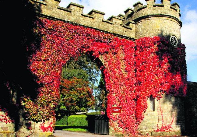 In the picture with our readers as they snap photos around the Wiltshire area.
 The entrance to Stourhead emblazoned with colourful foliage
Picture: Pete Wilson