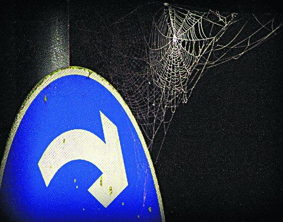 In the picture with our readers as they snap photos around the Wiltshire area.
Spiders must turn right
Picture: KEVIN JOHN STARES