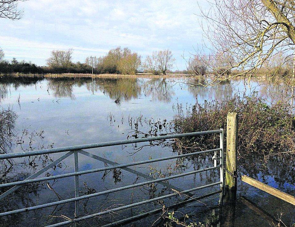 In the picture with our readers as they snap photos around the Wiltshire area.
Flooded flood plain of Thames in Cricklade
Picture: JANE BALDWIN