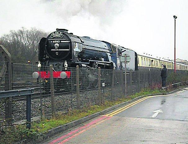 In the picture with our readers as they snap photos around the Wiltshire area.
Locomotive 60163 Tornado brightens up a damp morning as it heads the Cathedrals Express away from Swindon Picture: Viv Franklin