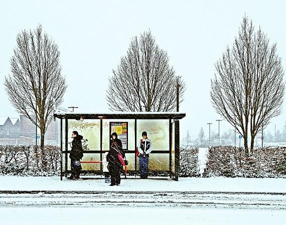 Hopeful passengers waiting at a snowy bus stop in Swindon 