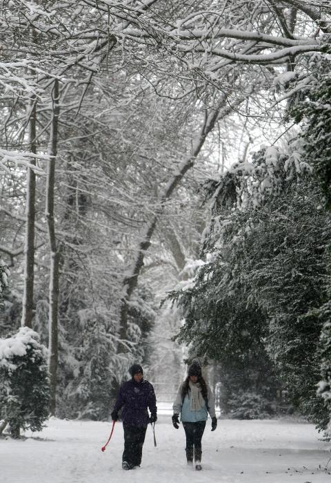 Walk int he snow at Lydiard Park