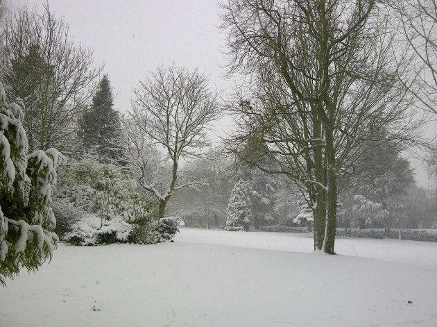 Snowy scene in the Lawns in Swindon's Old Town