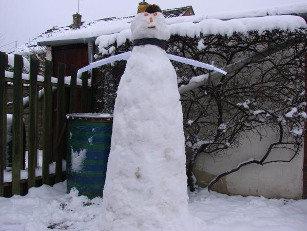 A skinny snowman in our garden in Wroughton by Valerie Davies
