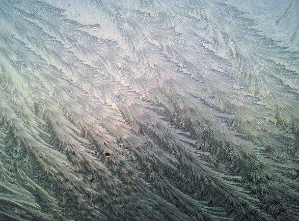 Swiindon Advertiser readers photographs
 A frosty windscreen
Picture: Danny Burke 