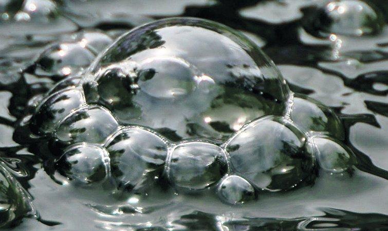 Swiindon Advertiser readers photographs.
 Bubbles on a pond
Picture: William Bryan 