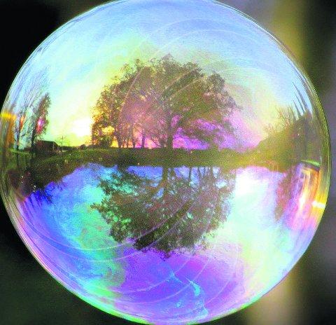 Swiindon Advertiser readers photographs
A tree reflected in a large bubble at Coate Water 
Picture: Kevin John Stares