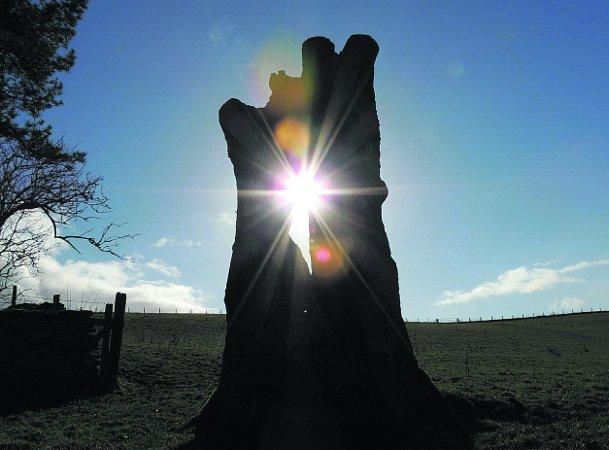 Swiindon Advertiser readers photographs
Sunshine through the crack of a tree stump on a walk from Bibury
Picture: LENNOX GOUGH