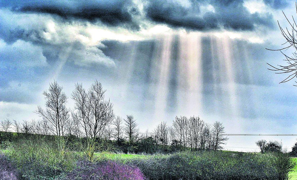 Swiindon Advertiser readers photographs
Rays of sun break through the clouds at Mouldon Hill country park
Picture: Ollie Batson