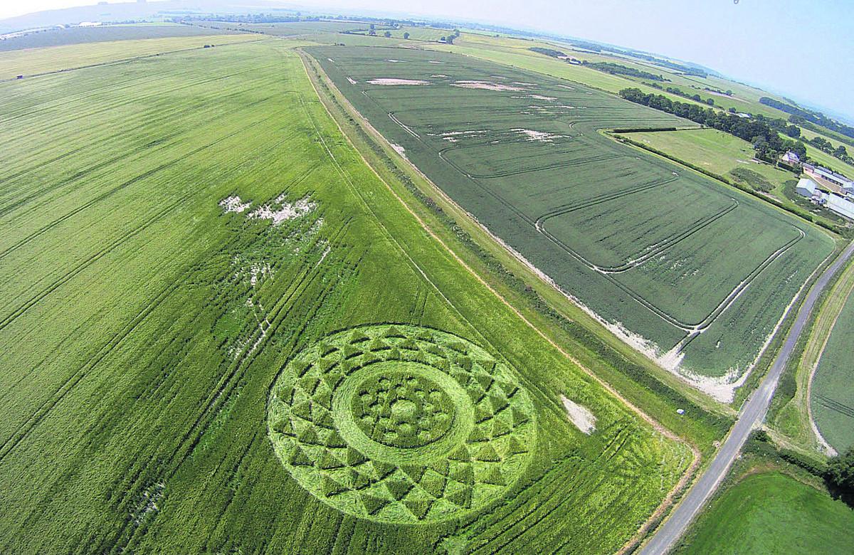 One of the first crop circles of the season in a field near Broad Hinton. Picture by Neil Maw.
