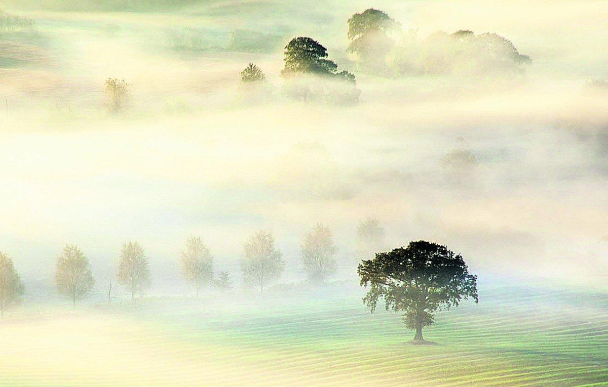 Swiindon Advertiser readers photographs A misty autumn dawn in the Vale of Pewsey
Picture: PHIL SELBY