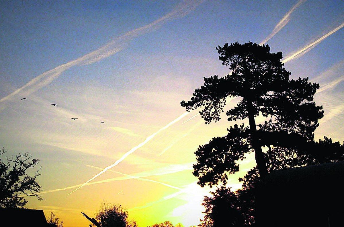 Swiindon Advertiser readers photographs
Great early morning sunrise over Shrivenham
Picture: KEVIN JOHN STARES