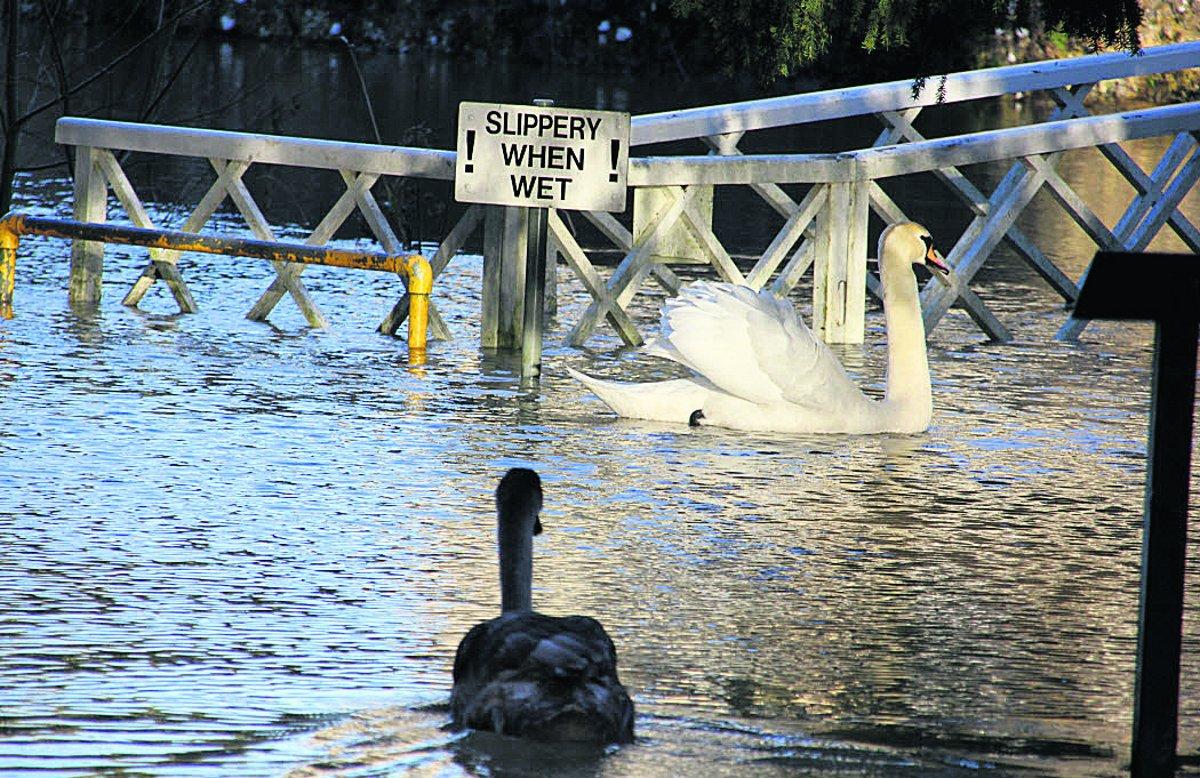 Swiindon Advertiser readers photographs
Flood-swollen lake at Shrivenham
Picture: Kevin Stares