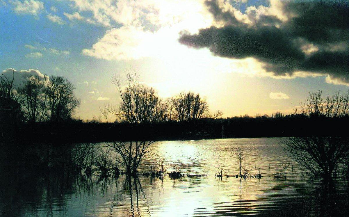 Swiindon Advertiser readers photographs
Water meadows in flodd at Cricklade
Picture: Dan Gurney